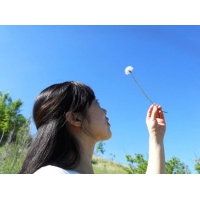 五月，印刷，因自动加锡而改变