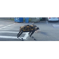一只真狗遇到机器狗会发生什么？